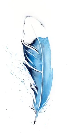 Image of a feather watercolor painting by Shayna Larsen, originals & prints available
