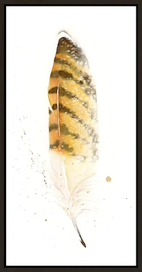 Image of a feather watercolor painting by Shayna Larsen, originals & prints available