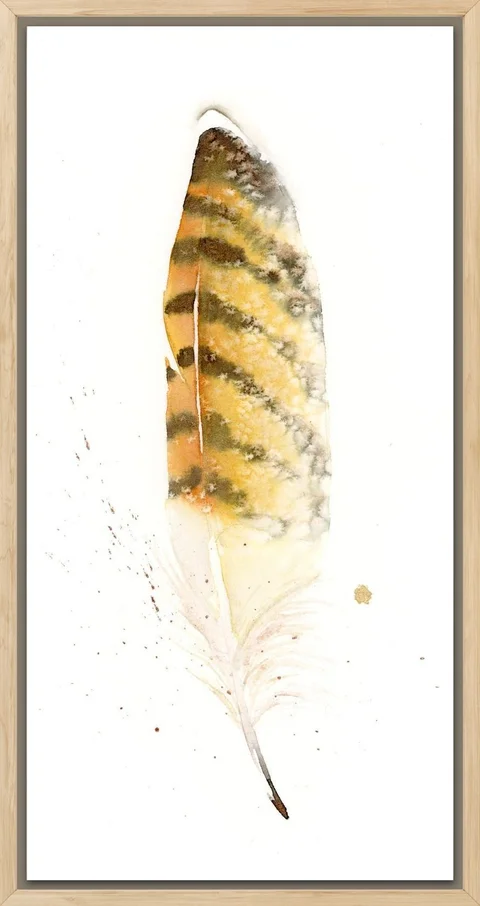 Image of a feather watercolor painting by Shayna Larsen, originals & prints available