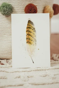 Image of a feather watercolor painting by Shayna Larsen, originals & prints available