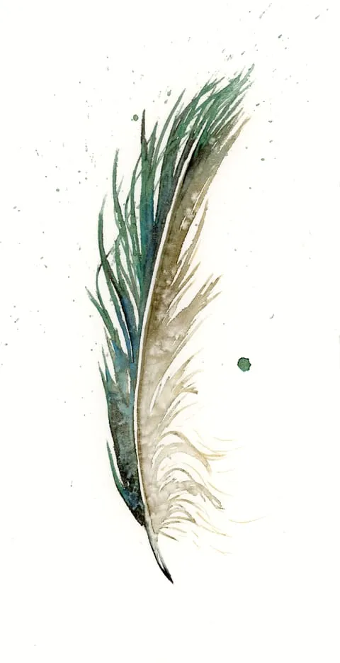Image of a feather watercolor painting by Shayna Larsen, originals & prints available