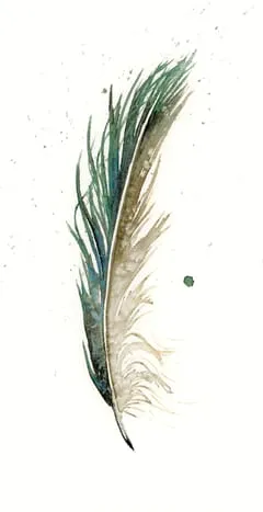 Image of a feather watercolor painting by Shayna Larsen, originals & prints available