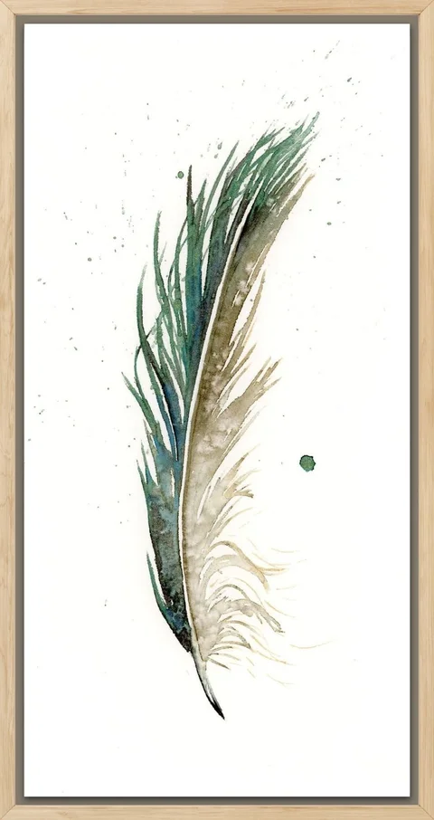 Image of a feather watercolor painting by Shayna Larsen, originals & prints available