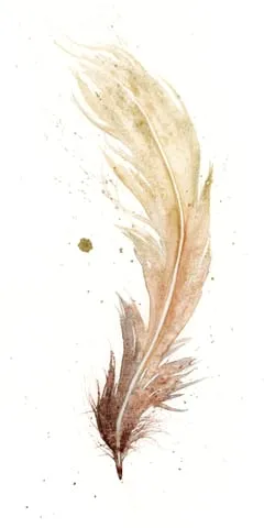 Image of a feather watercolor painting by Shayna Larsen, originals & prints available