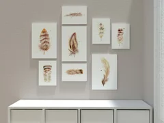 Image of a feather watercolor painting by Shayna Larsen, originals & prints available