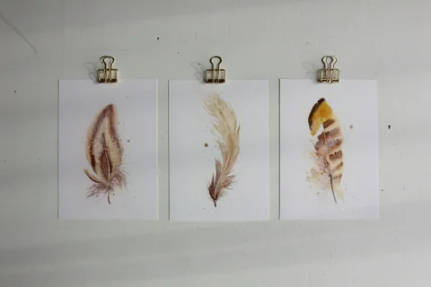 Image of a feather watercolor painting by Shayna Larsen, originals & prints available