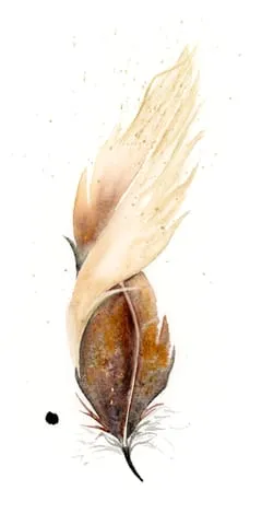 Image of a feather watercolor painting by Shayna Larsen, originals & prints available