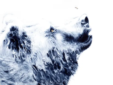 Image of a bear watercolor painting by Shayna Larsen, originals & prints available