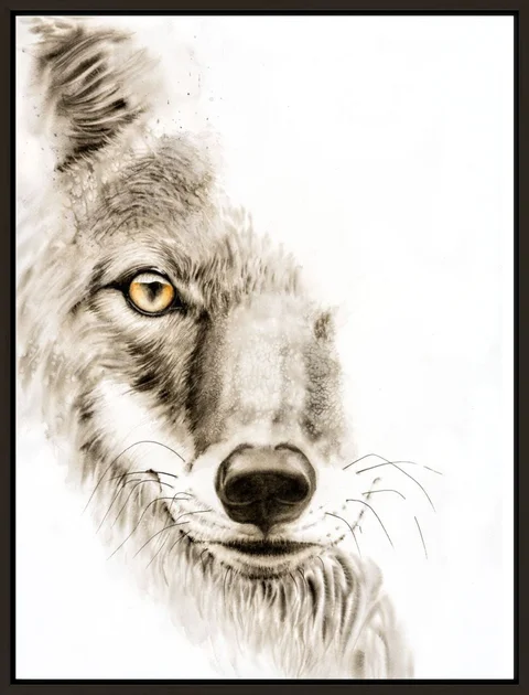 Image of a coyote watercolor painting by Shayna Larsen, originals & prints available