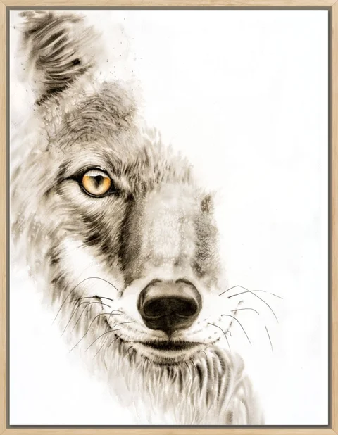 Image of a coyote watercolor painting by Shayna Larsen, originals & prints available