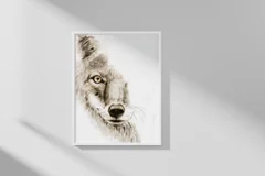 Image of a coyote watercolor painting by Shayna Larsen, originals & prints available