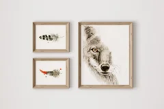 Image of a coyote watercolor painting by Shayna Larsen, originals & prints available