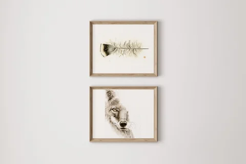 Image of a coyote watercolor painting by Shayna Larsen, originals & prints available