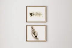 Image of a coyote watercolor painting by Shayna Larsen, originals & prints available