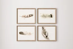 Image of a coyote watercolor painting by Shayna Larsen, originals & prints available