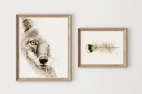 Image of a coyote watercolor painting by Shayna Larsen, originals & prints available