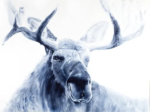 Image of a moose watercolor painting by Shayna Larsen, originals & prints available