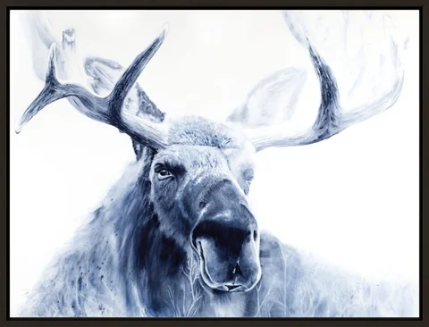 Image of a moose watercolor painting by Shayna Larsen, originals & prints available