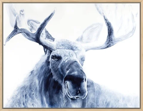 Image of a moose watercolor painting by Shayna Larsen, originals & prints available