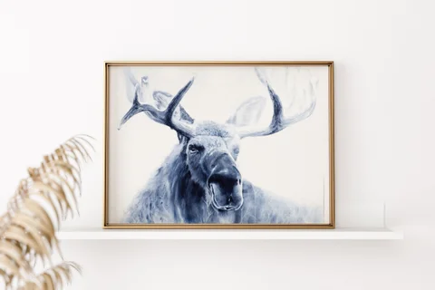 Image of a moose watercolor painting by Shayna Larsen, originals & prints available