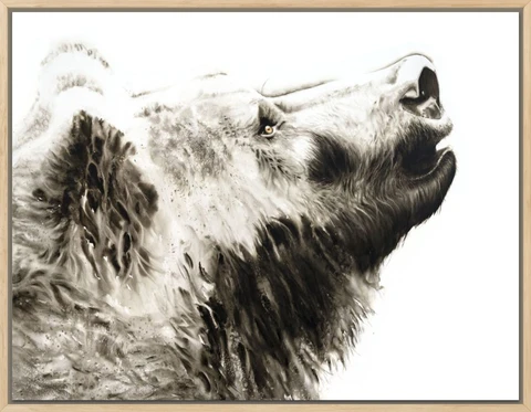 Image of a bear watercolor painting by Shayna Larsen, originals & prints available