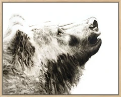 Image of a bear watercolor painting by Shayna Larsen, originals & prints available