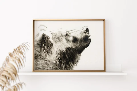 Image of a bear watercolor painting by Shayna Larsen, originals & prints available