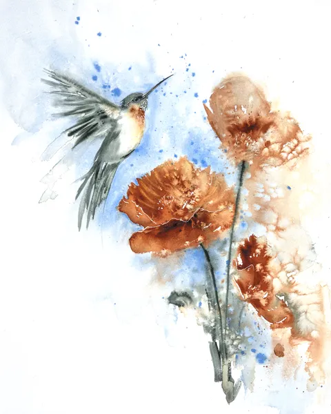 Image of a hummingbird watercolor painting by Shayna Larsen, originals & prints available