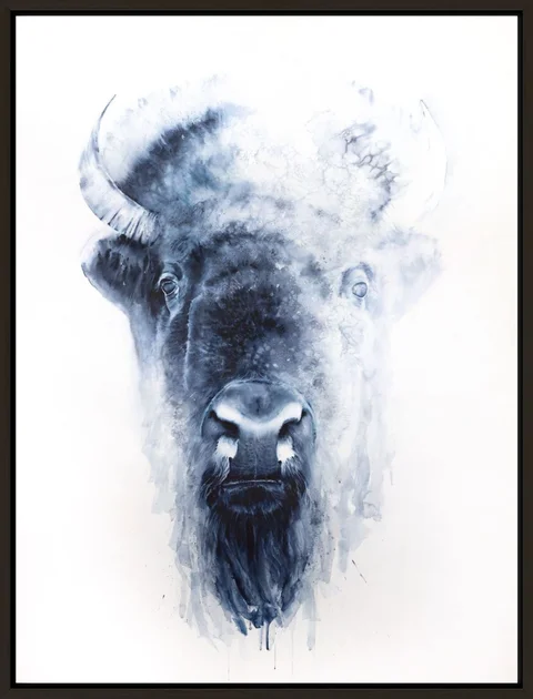 Image of a buffalo watercolor painting by Shayna Larsen, originals & prints available