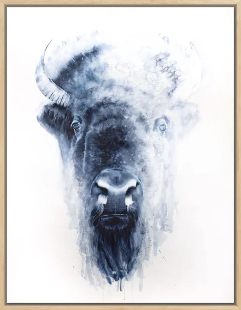 Image of a buffalo watercolor painting by Shayna Larsen, originals & prints available