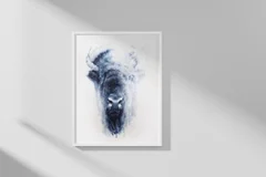 Image of a buffalo watercolor painting by Shayna Larsen, originals & prints available