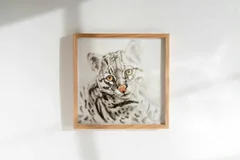 Image of a ocelot watercolor painting by Shayna Larsen, originals & prints available