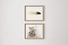 Image of a ocelot watercolor painting by Shayna Larsen, originals & prints available