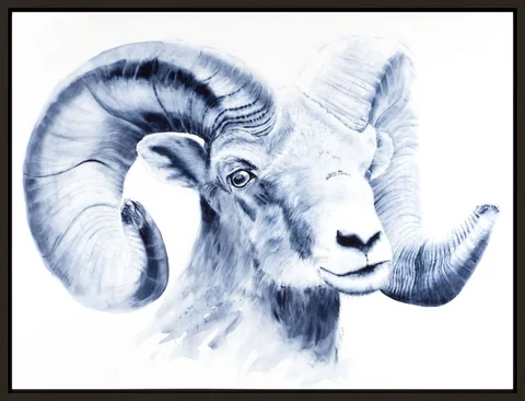 Image of a sheep watercolor painting by Shayna Larsen, originals & prints available