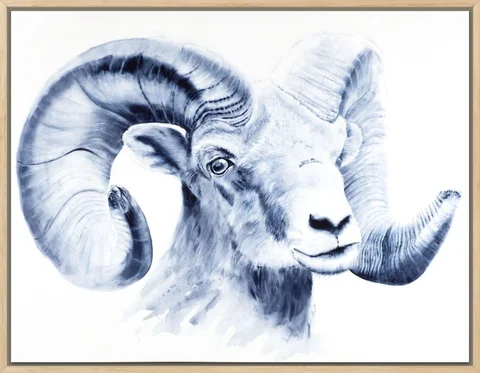 Image of a sheep watercolor painting by Shayna Larsen, originals & prints available