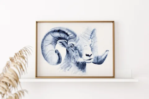 Image of a sheep watercolor painting by Shayna Larsen, originals & prints available