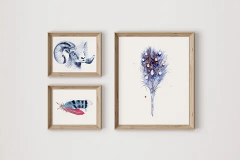 Image of a sheep watercolor painting by Shayna Larsen, originals & prints available