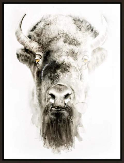Image of a buffalo watercolor painting by Shayna Larsen, originals & prints available