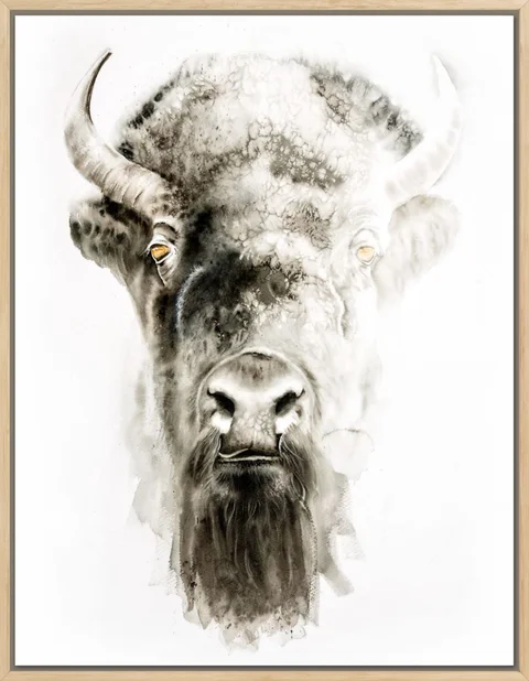 Image of a buffalo watercolor painting by Shayna Larsen, originals & prints available