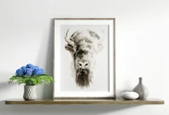 Image of a buffalo watercolor painting by Shayna Larsen, originals & prints available