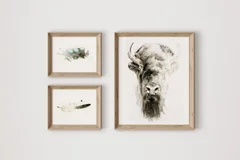 Image of a buffalo watercolor painting by Shayna Larsen, originals & prints available