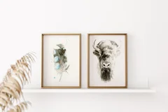 Image of a buffalo watercolor painting by Shayna Larsen, originals & prints available