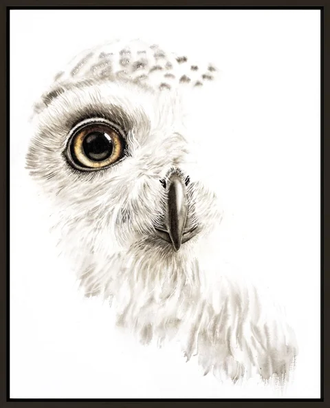 Image of a owl watercolor painting by Shayna Larsen, originals & prints available