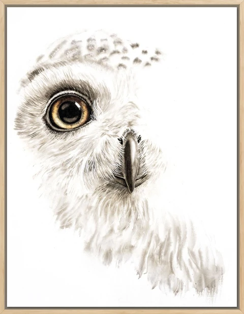 Image of a owl watercolor painting by Shayna Larsen, originals & prints available