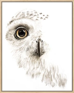 Image of a owl watercolor painting by Shayna Larsen, originals & prints available