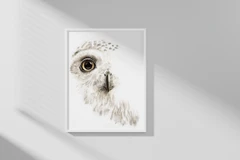 Image of a owl watercolor painting by Shayna Larsen, originals & prints available
