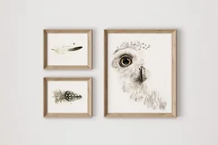 Image of a owl watercolor painting by Shayna Larsen, originals & prints available