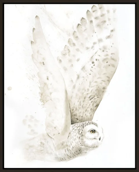 Image of a owl watercolor painting by Shayna Larsen, originals & prints available