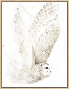 Image of a owl watercolor painting by Shayna Larsen, originals & prints available