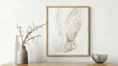 Image of a owl watercolor painting by Shayna Larsen, originals & prints available
